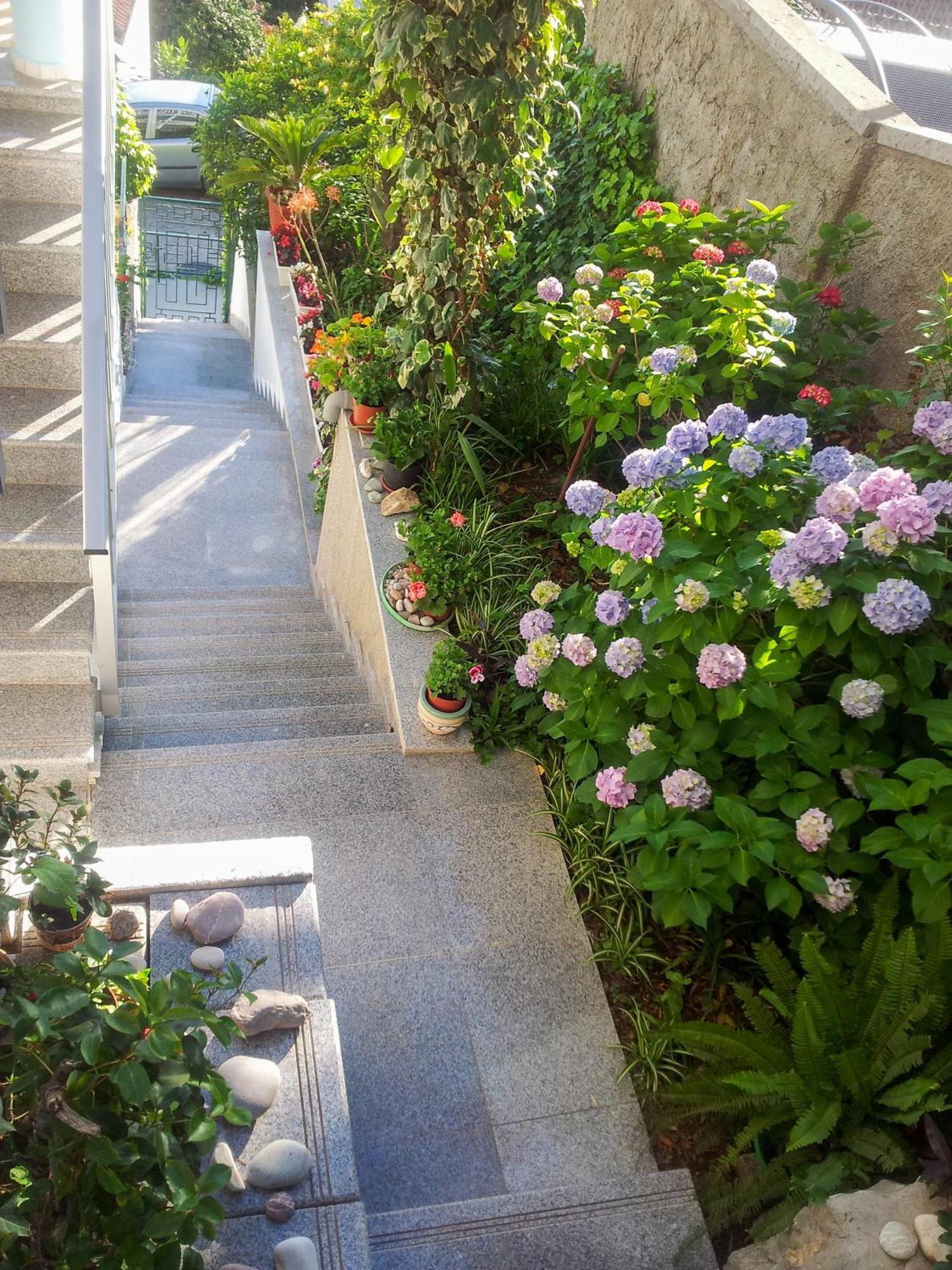 Panorama Apartments Budva Exterior foto